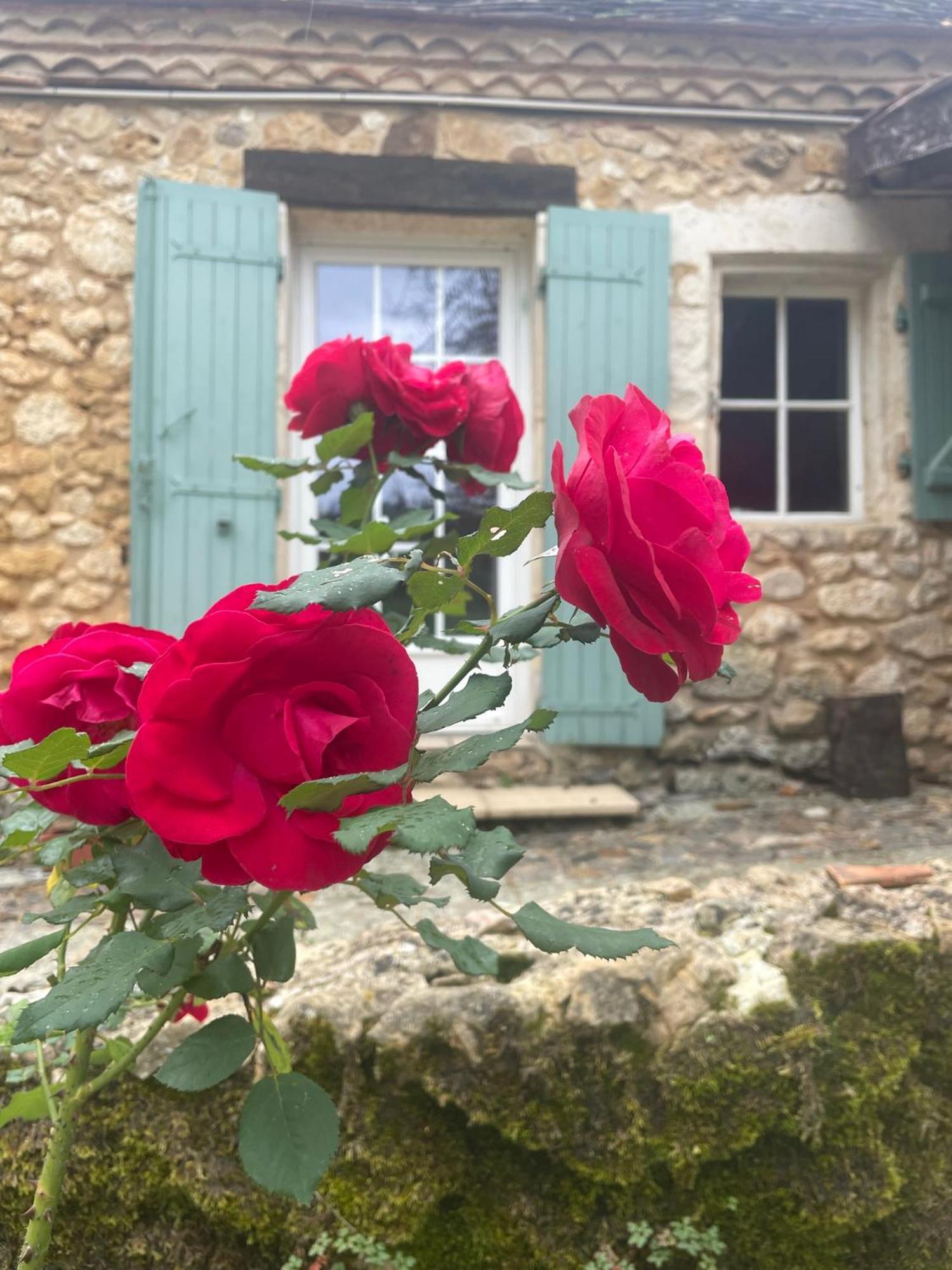 Bed and Breakfast Les Rocailles Lamonzie-Montastruc Esterno foto